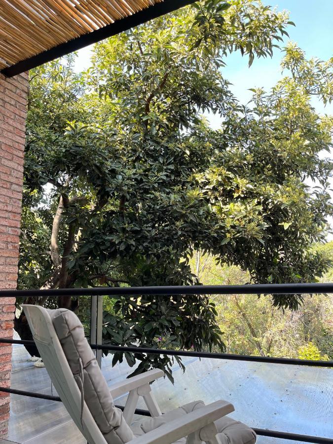 Вилла Mi Refugio San Angel Мехико Экстерьер фото