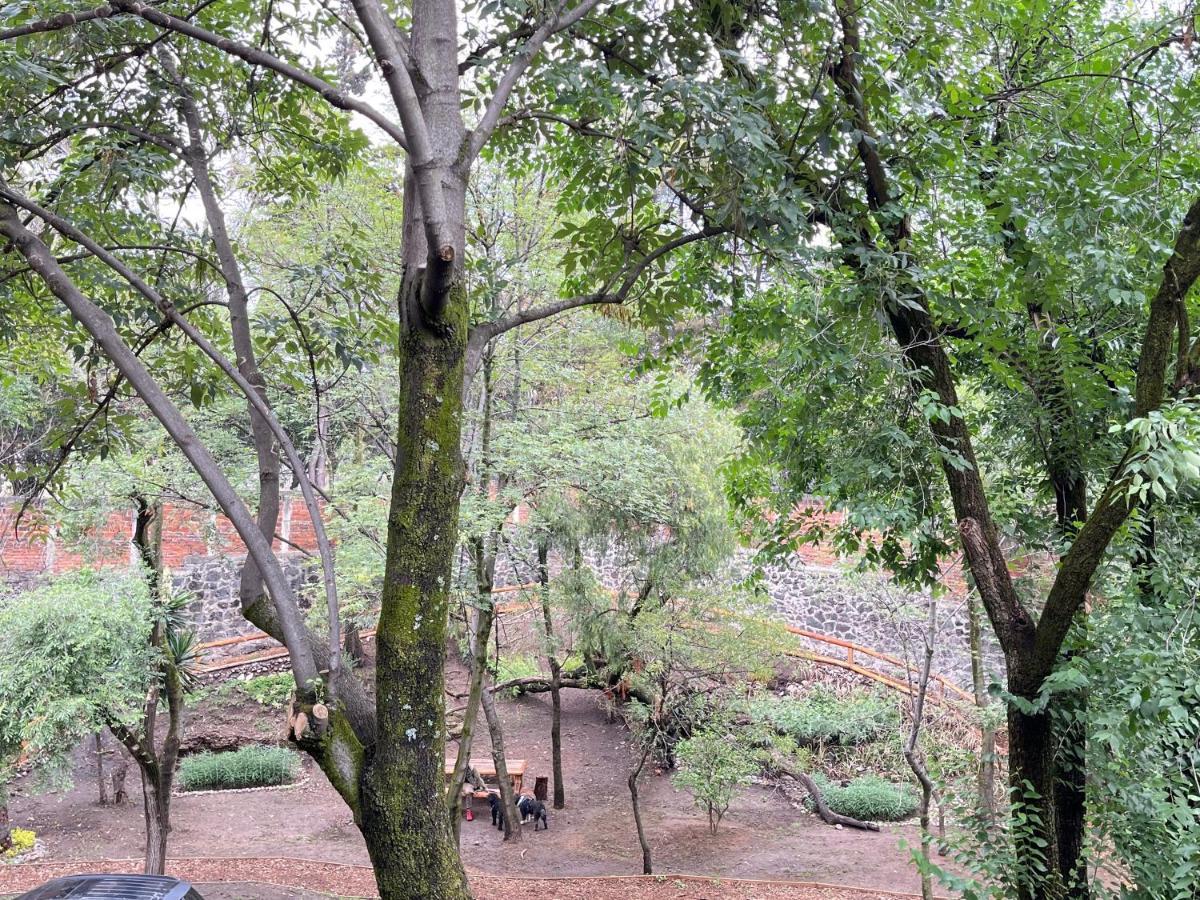 Вилла Mi Refugio San Angel Мехико Экстерьер фото