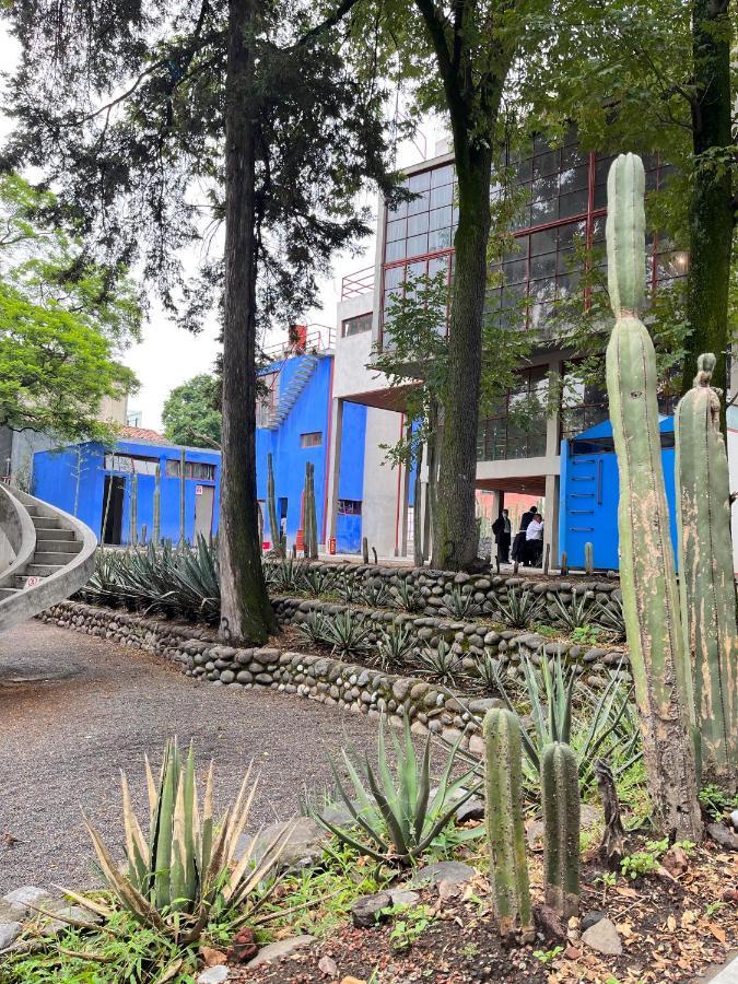 Вилла Mi Refugio San Angel Мехико Экстерьер фото